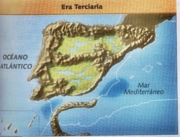 Era terciària final