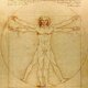 Da vinci vitruvian man