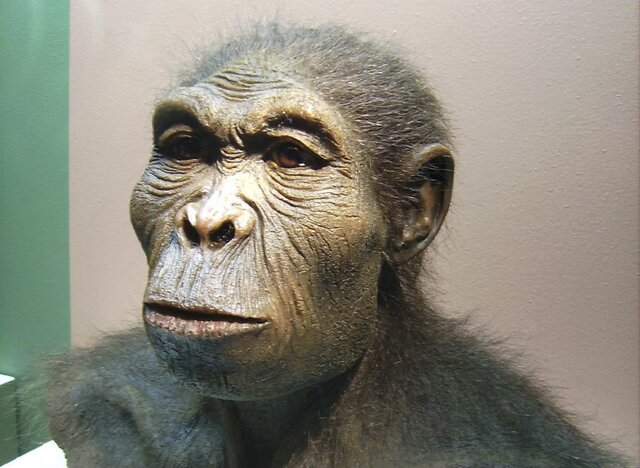 EVOLUCIÓ I EXPANSIÓ DELS HOMO  2’5 Ma BC- 12.000 a BC