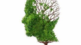 Timeline:  Surgimiento de la Ecología Humana