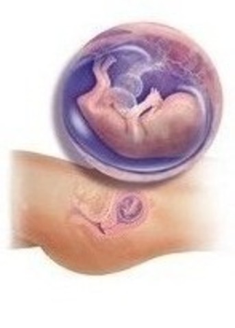 12 WEEKS OF PREGNANCY