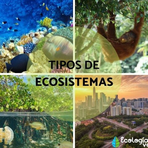 Las distintas Ecologías de finales del siglo XIX