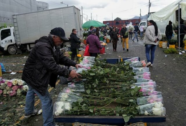CONOCIENDO MIS HABILIDADES