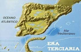 Era terciaria: cenozoic
