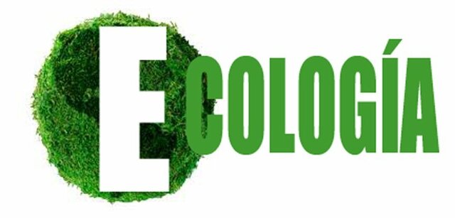 Palabra Ecología