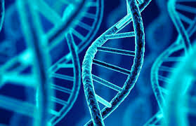 The Future - over the next 2 decades