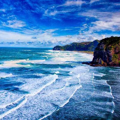 Timeline: clasificaciones de Biomas a lo largo del tiempo