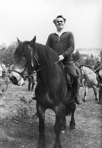 Ceguesa assistida per gossos