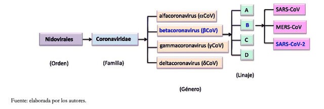 TAXONOMIA DE LAS ENFERMEDADES