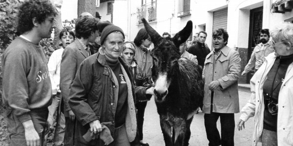 Teràpia amb ases per a nens amb necessitats especials.
