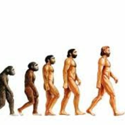 Timeline: Evolución de la especie humana