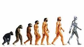 Timeline: Evolución de la especie humana