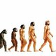 Evolución de la especie humana