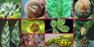 La teoría microbiana sin Pasteur y koch