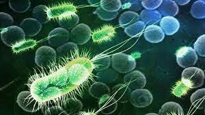 Taxonomía de las enfermedades