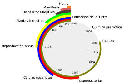 ELS PRIMERS SIGNES DE VIDA A LA TERRA, 4500 milions d’anys