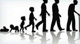 Timeline: Activitat 1. Eix cronològic de la meva vida