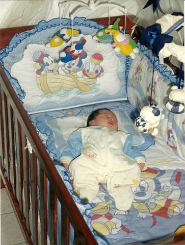 Meus primeiros dias de vida