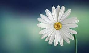 TRABAJO REALIZADO POR L.A.R Y A.O.A