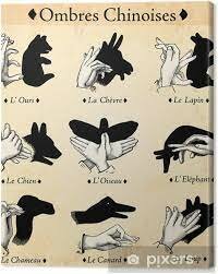 OMBRES CHINOISES