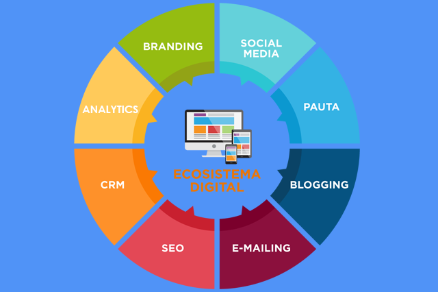 Diseñadores y Desarrolladores de WordPress.