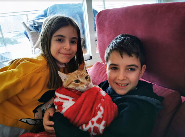 Les mascotes arriben a casa