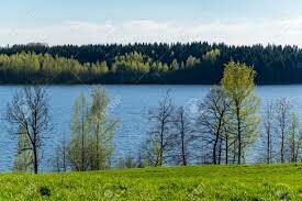 The Parson Ainsworth gives an offer to Amos