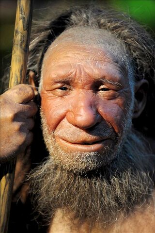 HOMO NEANDERTHALIS