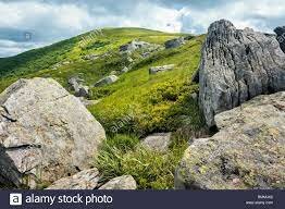 Amos up on the Mountain