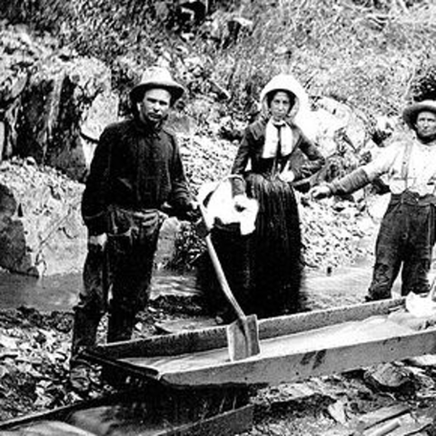 Gold Rush Starts