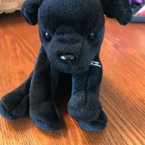 (-5) The Begining of Torment