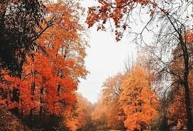 The Day I Came Into The World