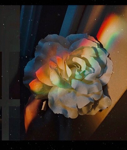 Art Will Always be Limitless