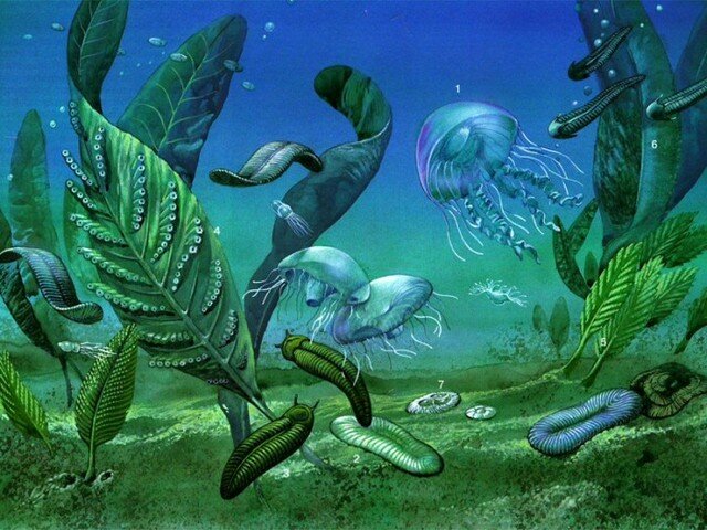 Proterosoikum