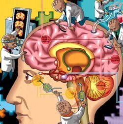 Teoría de la gramática universal