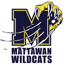 Mattawan Area schools