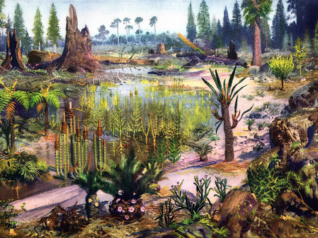 Ordoviitsium
