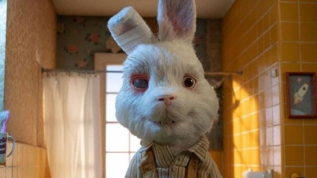 ¿En qué consiste el Test de Draize?