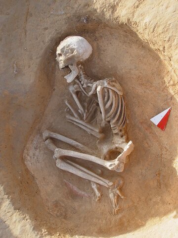 Cultura de los sepulcros de fosa