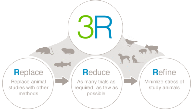 ¿En qué consisten?