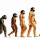 Humanevolution