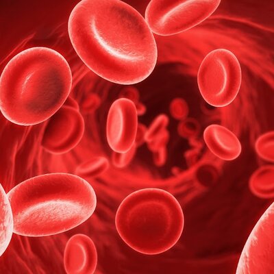 Timeline: Antecedentes de las células