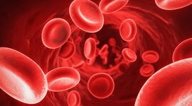 Timeline: Antecedentes de las células