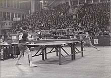 Tenis de mesa (ping-pong)
