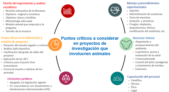 Los principios de las técnicas experimentales humanitarias