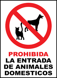 Protección de animales de experimentación y otros fines científicos