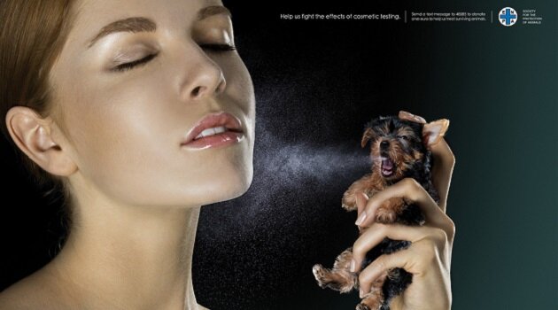 Surge primer directiva