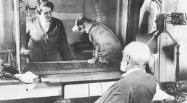 Timeline: Origen y Evolución del Condicionamiento Clásico y Condicionamiento Operante