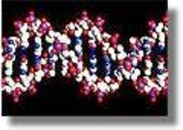 Homem começa a se conhecer