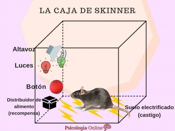 El experimento de la caja de Skinner